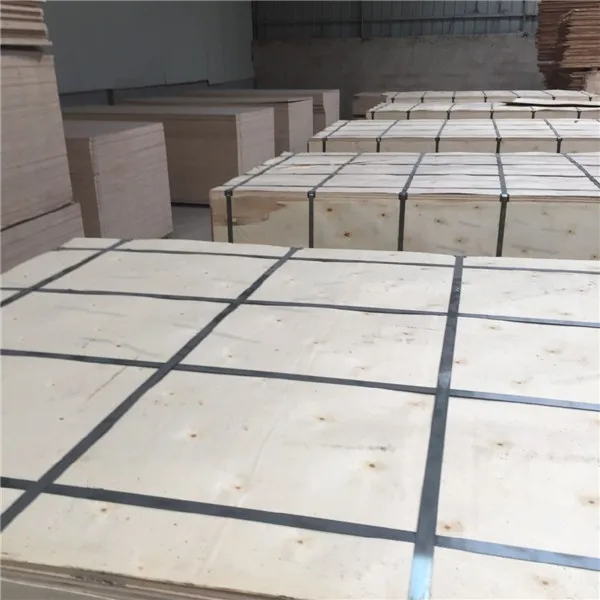 Veneer Plywood 5x10 baltic birch Plywood Pallet