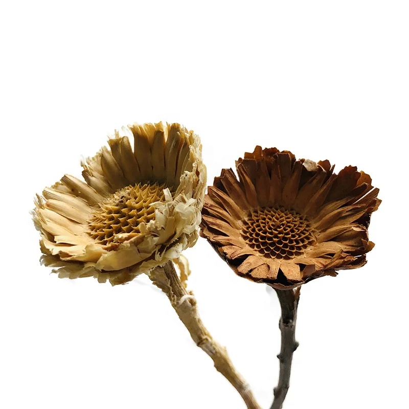 wholesale dried flowers High Quality sunflower africa dried sunflower