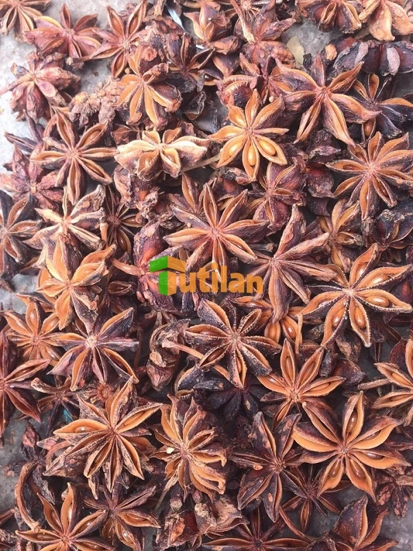 Оптовая продажа с завода самая низкая цена и лучшее качество специи приправы анис