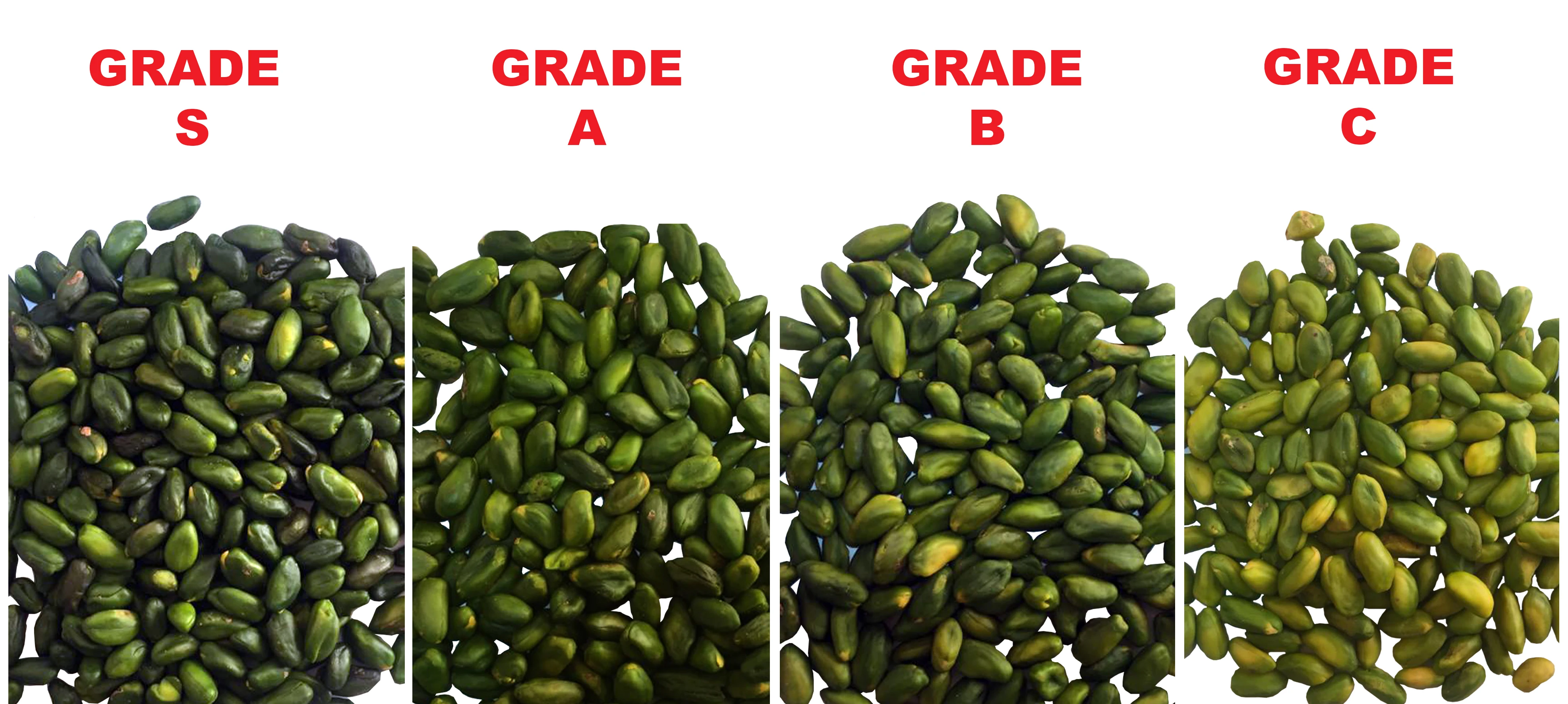 Premium green peeled pistachio kernels wholesale bulk nuts dried