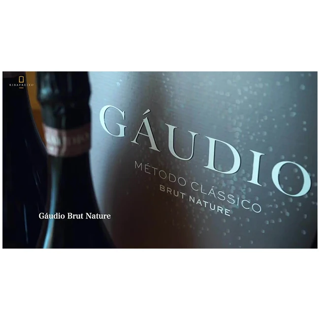 Gaudio Brut Nature White Dry Sparkling Wine Made In Portugal Of Great Elegance With Fine And Persistent Bubble Doc Alentejo