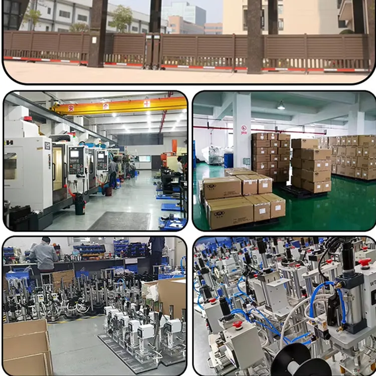 Energy Saving Digital Hot Foil Stamping Machine for Sale