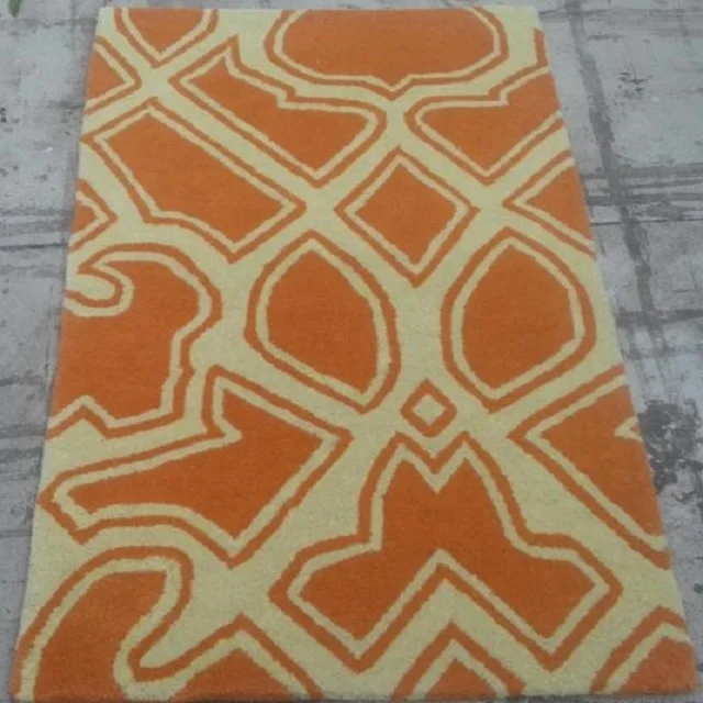 Modern Design Hand Tufted Wool Carpet Area Rug with Cotton Canvas Backing for Living Room and Bedroom Kid Room Adult Plush