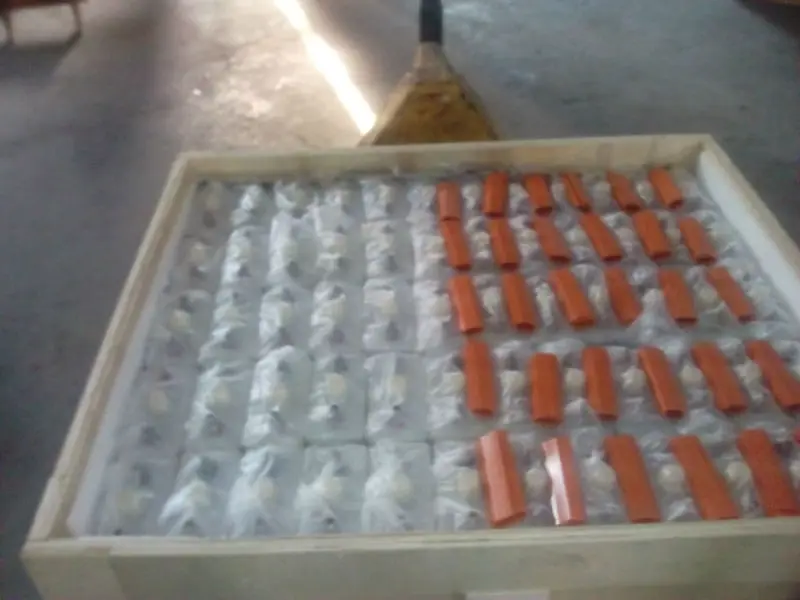 Higher Quality Long Life Solar Battery NI-FE Battery Nickel Iron Batteries 1.2V 24V 48V TN100AH