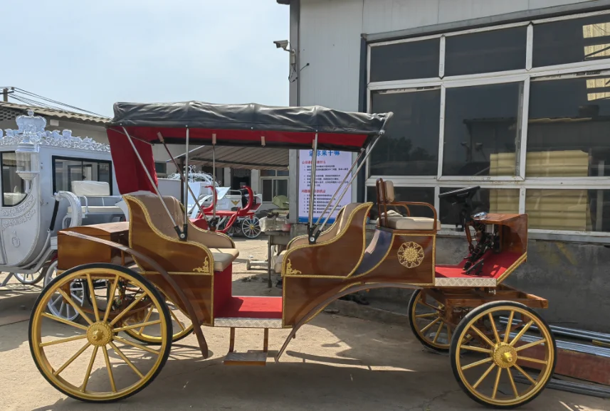 Customized European Sightseeing Carriage Electric EXW Wooden Seat Hot Selling High Quality Special Transportation 2024 Fangyu