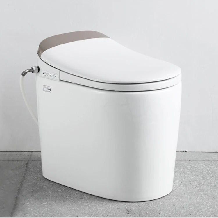 Дезодорирующий двойной санитарный инвентарь, умный туалет