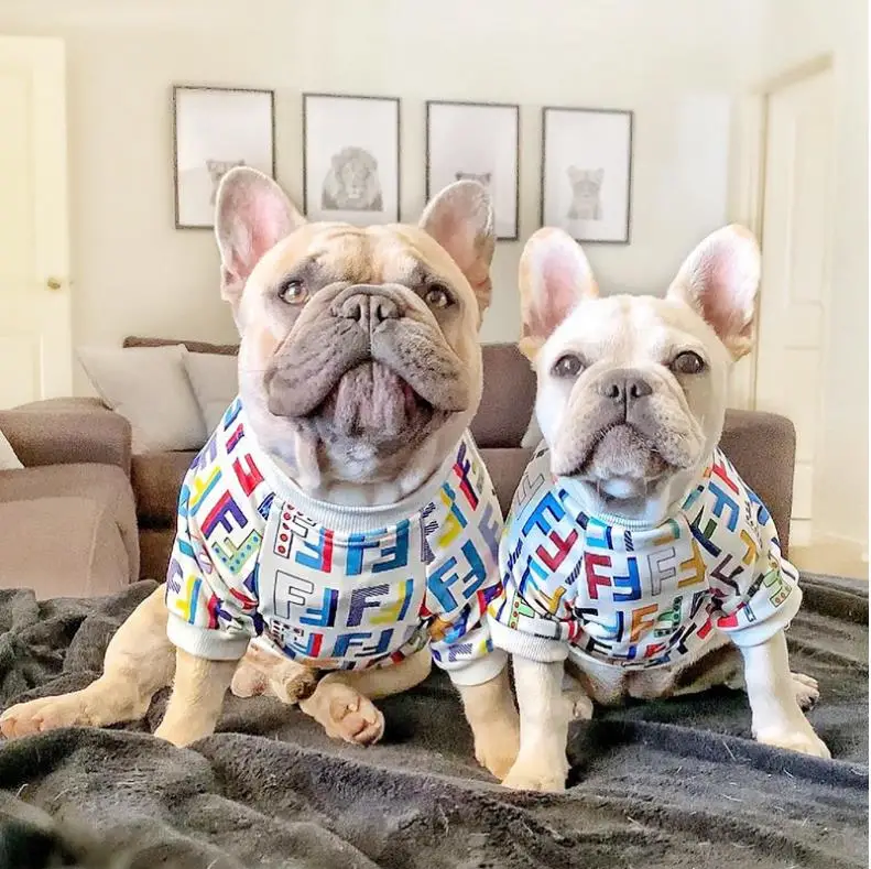 Fashion small dog clothing luxury dog wear summer new dogs