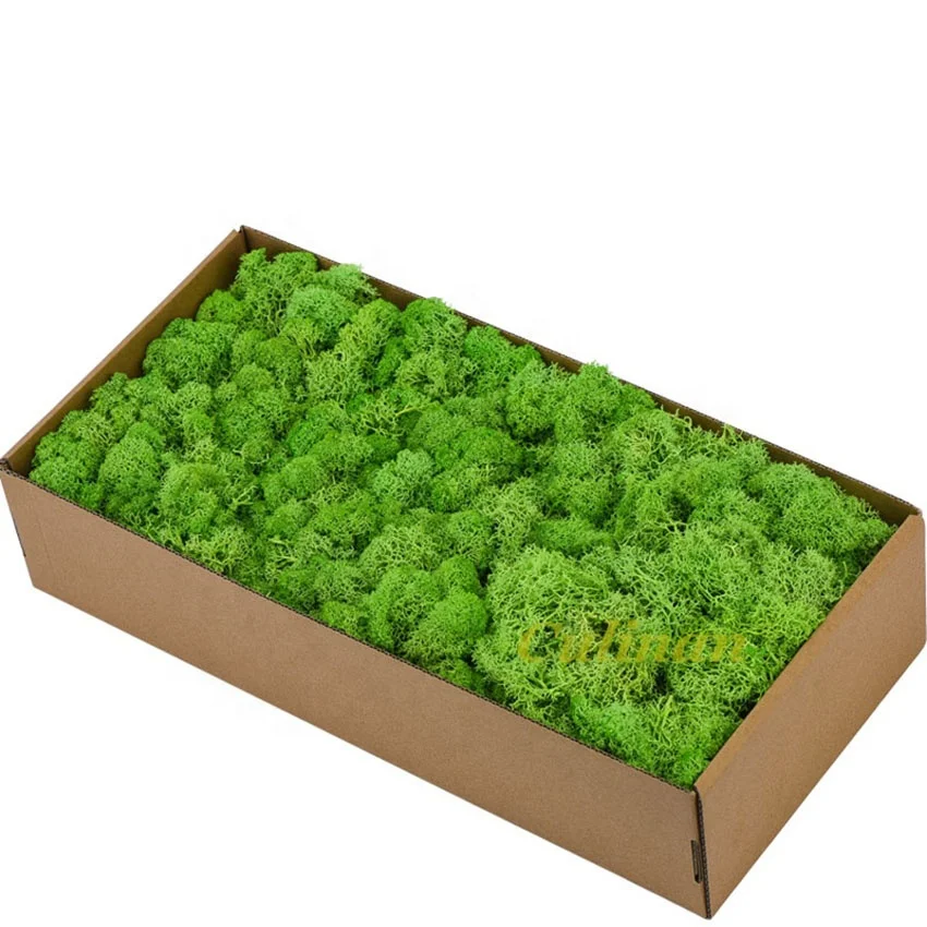 High quality China natural moss wall eternal dried preserved moss