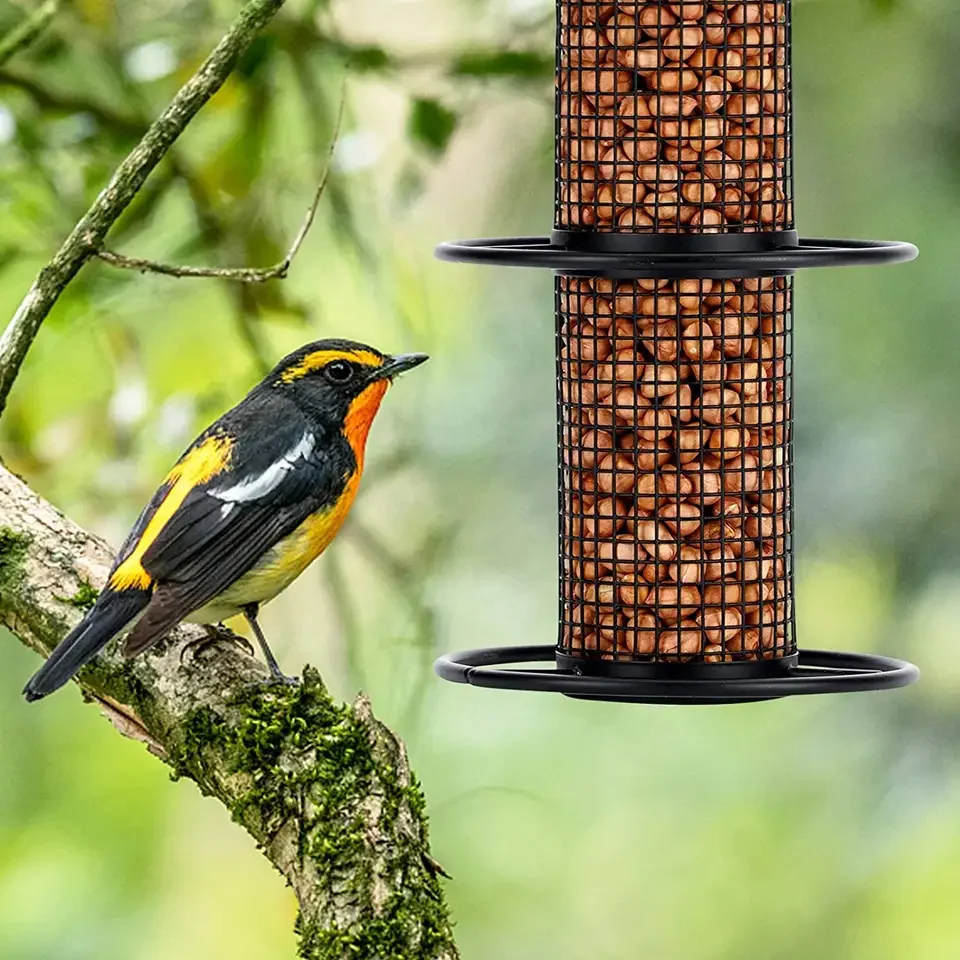 2 Tiers Squirrel Proof Wild Hanging Tube Bird Seed Feeders for Outside with 2 Metal Rings
