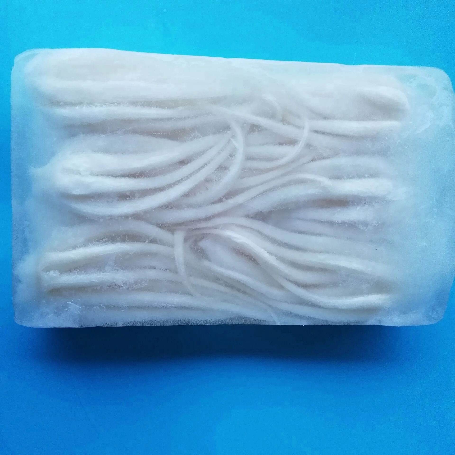 Frozen giant indian ocean squid head tentacles skinless