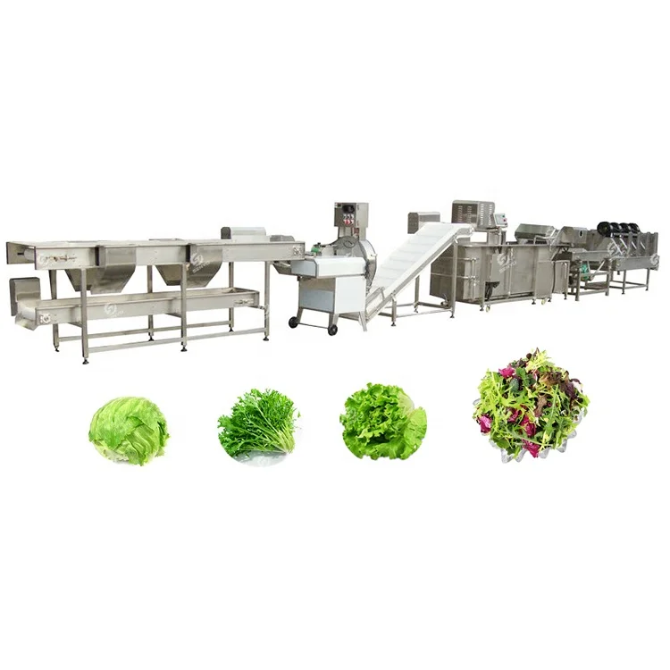 Baby spinach lettuce cabbage fruit and salad leafy vegetables processing packing production line