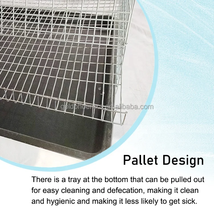 YYC full set automatic feces clearing and egg rolling chick quail breeding cage