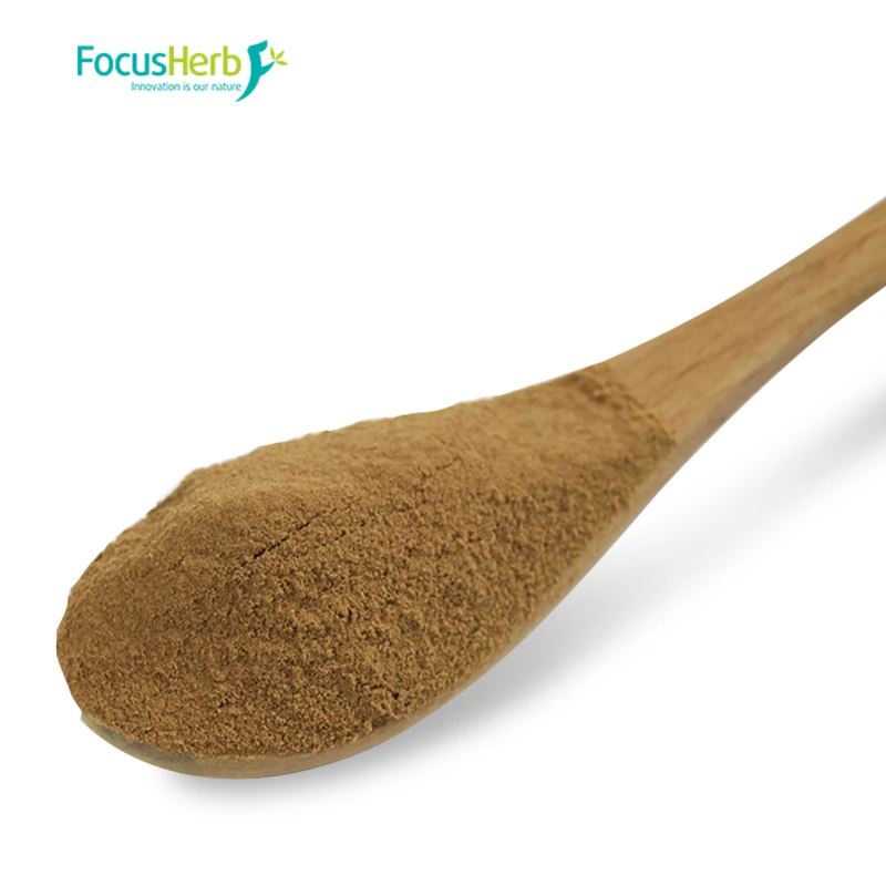 Экстракт FocusHerb Gymnema Sylvestre порошок гимнастические кислоты 25% 75% экстракт