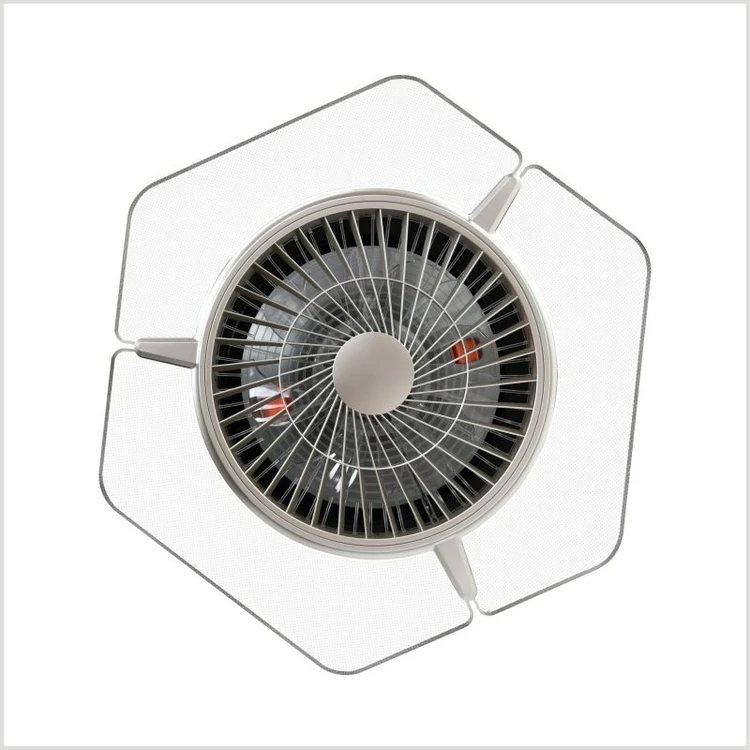 ceiling  fan  with  light