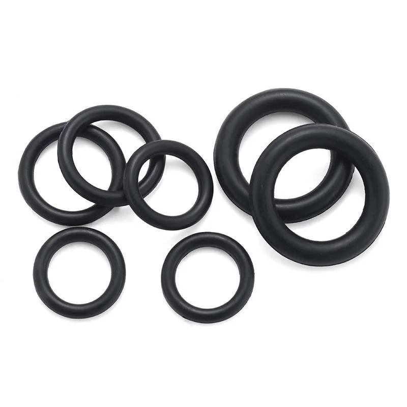 Standard size and Customized sizes Hydraulic Pump Custom O Ring Hydraul Seal