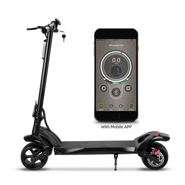 Fast Delivery 36V 10Ah 40km Off-Road Electric Scooter