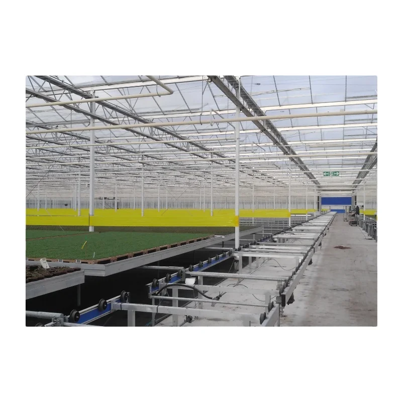 Factory Prefabricated Multi-Span Galvanized Steel Structure Vegetables/Fruit Trees/Flowers/Seed Plastic/Film/ Greenhouse