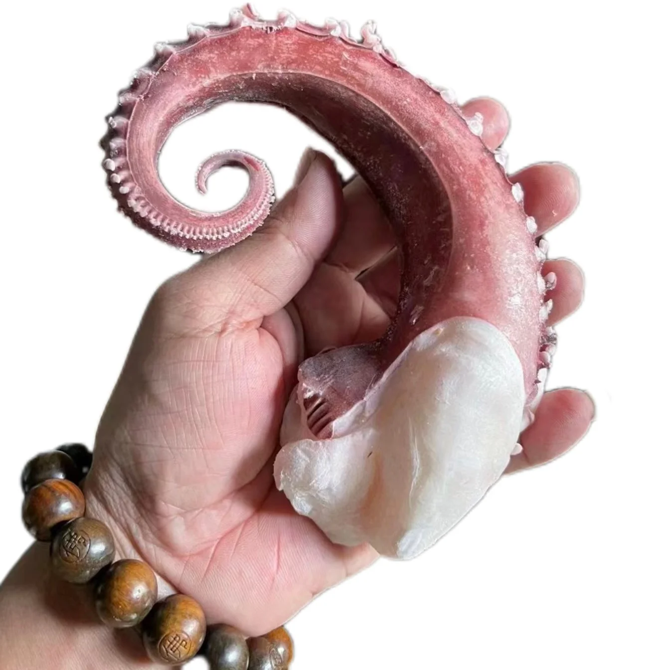 Оптовая продажа, щупальца замороженного кальмара, гигантские щупальца кальмара для рынка