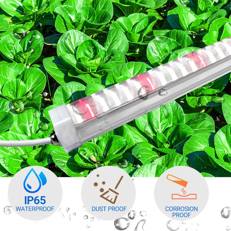 IP65 full spectrum indoor farming t8 tube led hydroponic grow light