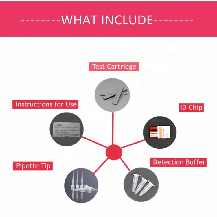 Canine Hormones Diagnostic Kit Addison Syndrome Small Animal Cushings Syndrome Reagent Pet Vet Cortisol Test Strips