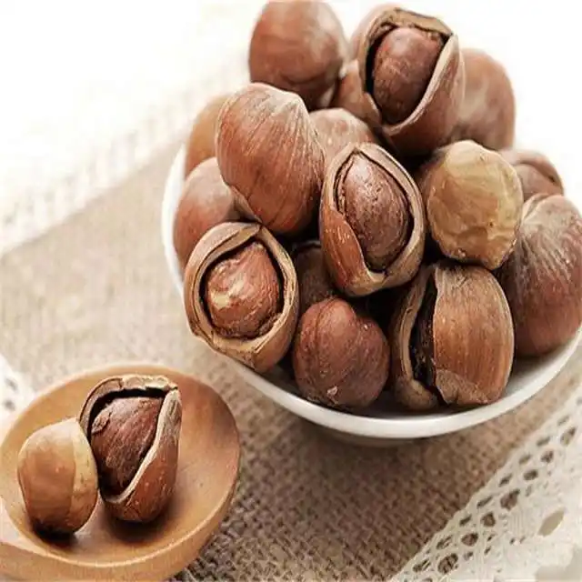 Raw Hazelnut Roasted Hazelnut in Bulk Premium Quality