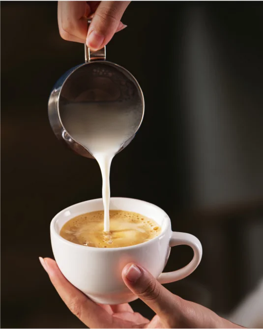 Drip Coffee Maker coffee machine for office espresso machine