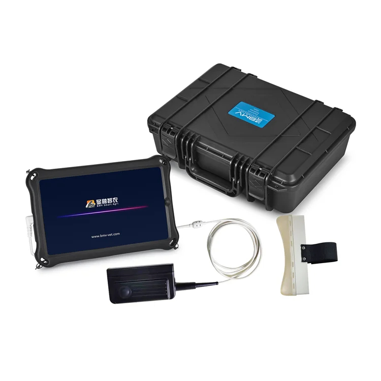 Hot-sale horse cattle vet ultrasound machine Wireless BestScan S5 Plus color Doppler portable ultrasound scanner system