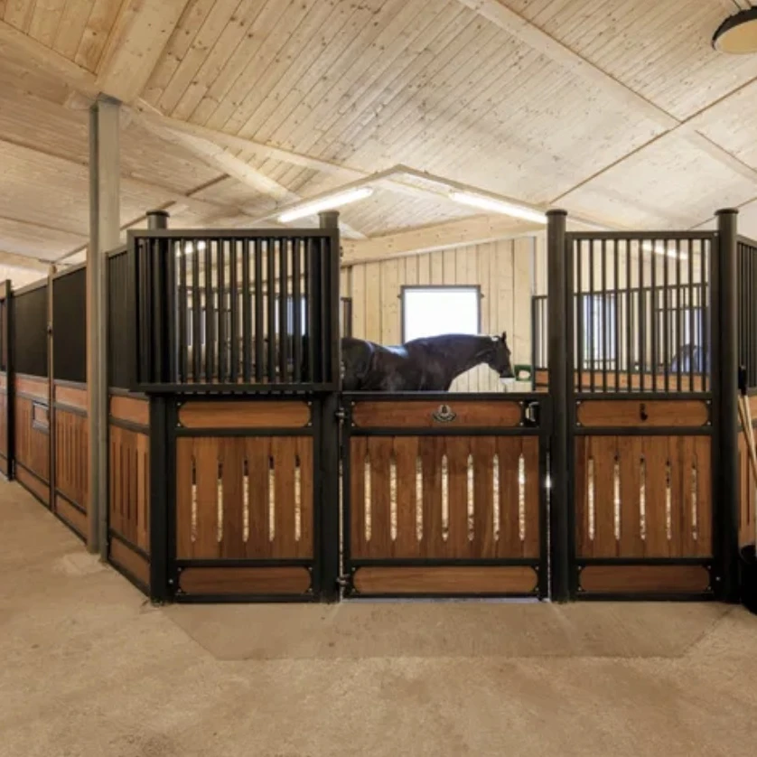 equine horse stable,horse stable interior,stable horses cows 4