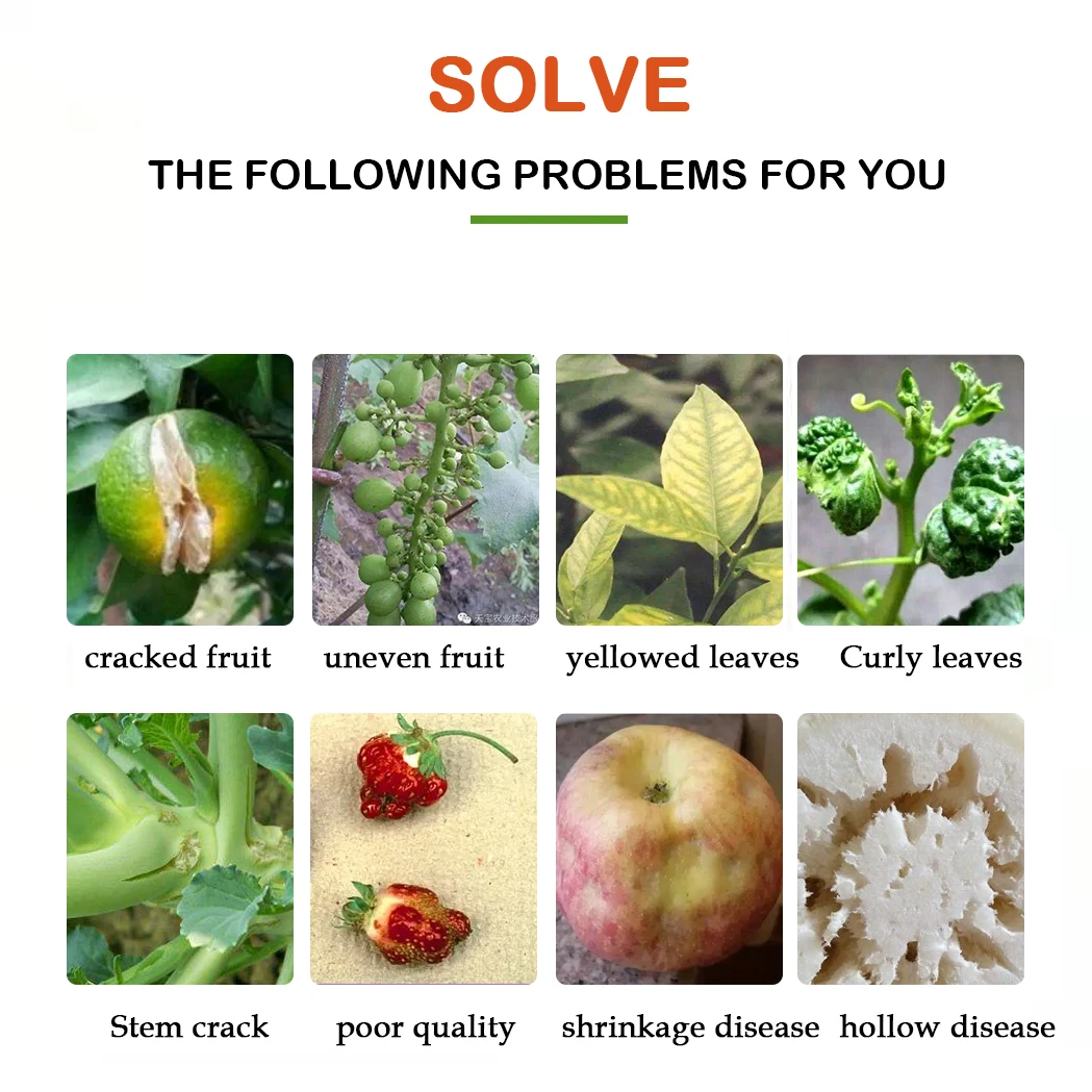 China manufacturer agricultural crops OEM brand package Ca Mg Boron micro nutrients liquid bio fertilizer for hydroponicr