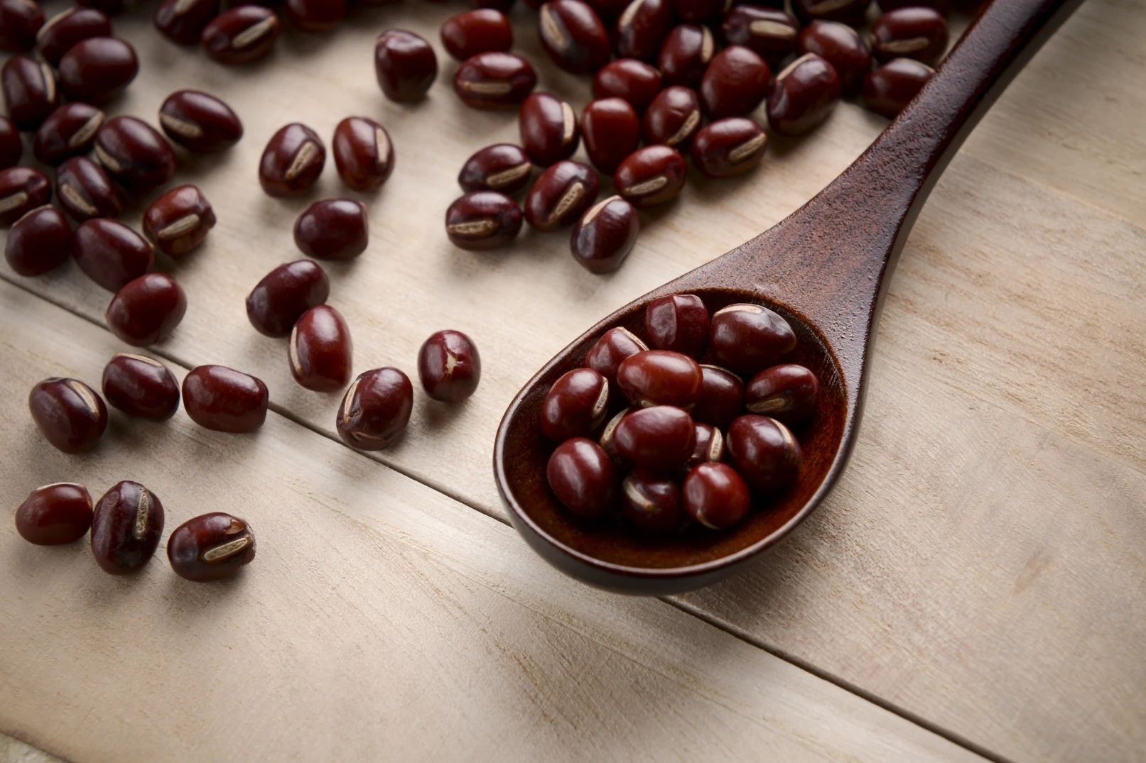 Delicious healthy food chocolate snacks product ideas 2024 new wholesale confectionery