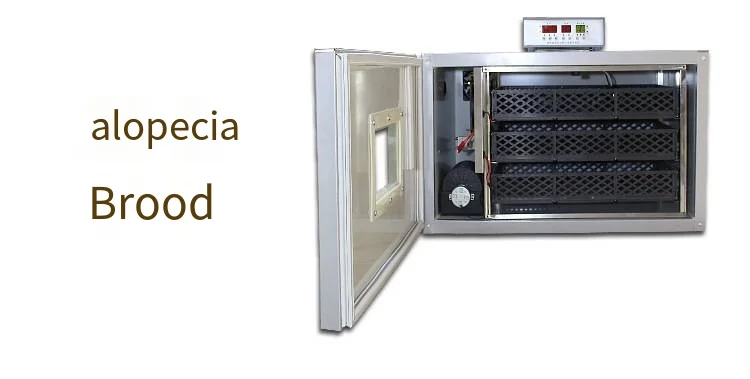 2018 новый инкубатор для яиц в Дубае по оптовой