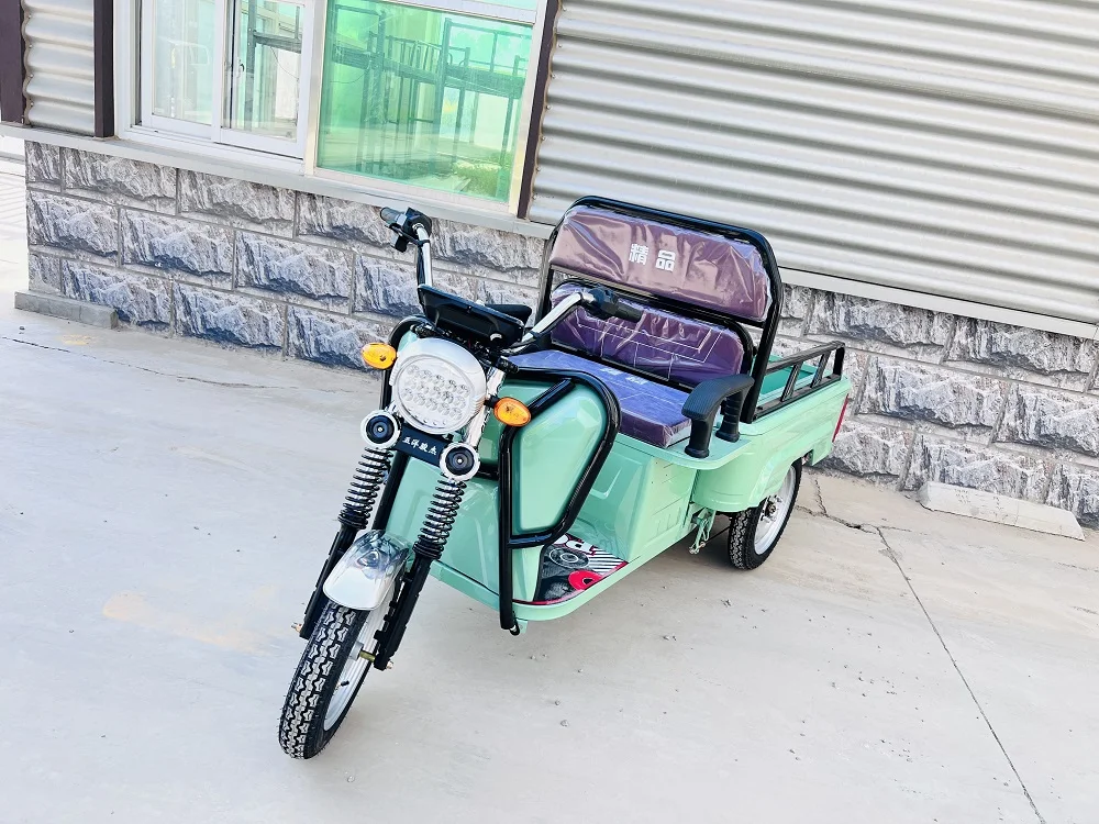 OEM 1000W/1500W грузовой Электрический трехколесный велосипед с заводской настраиваемой поддержкой от производителя