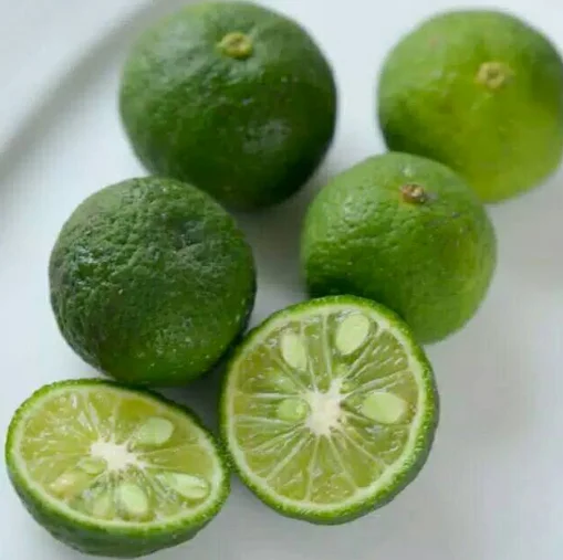 Лучшая сделка экспорт цитрусовых премиум-класса из Вьетнама замороженные каламанси с кумкватами для кулинарного блаженства на кухне и в баре