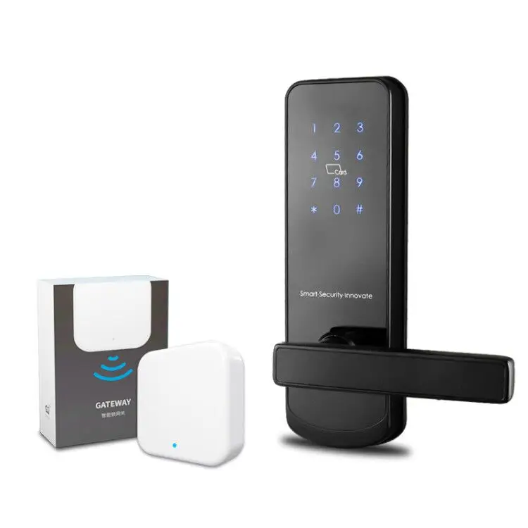 TTlock APP Digital Password keyless Electronic Hotel Smart Lock Door