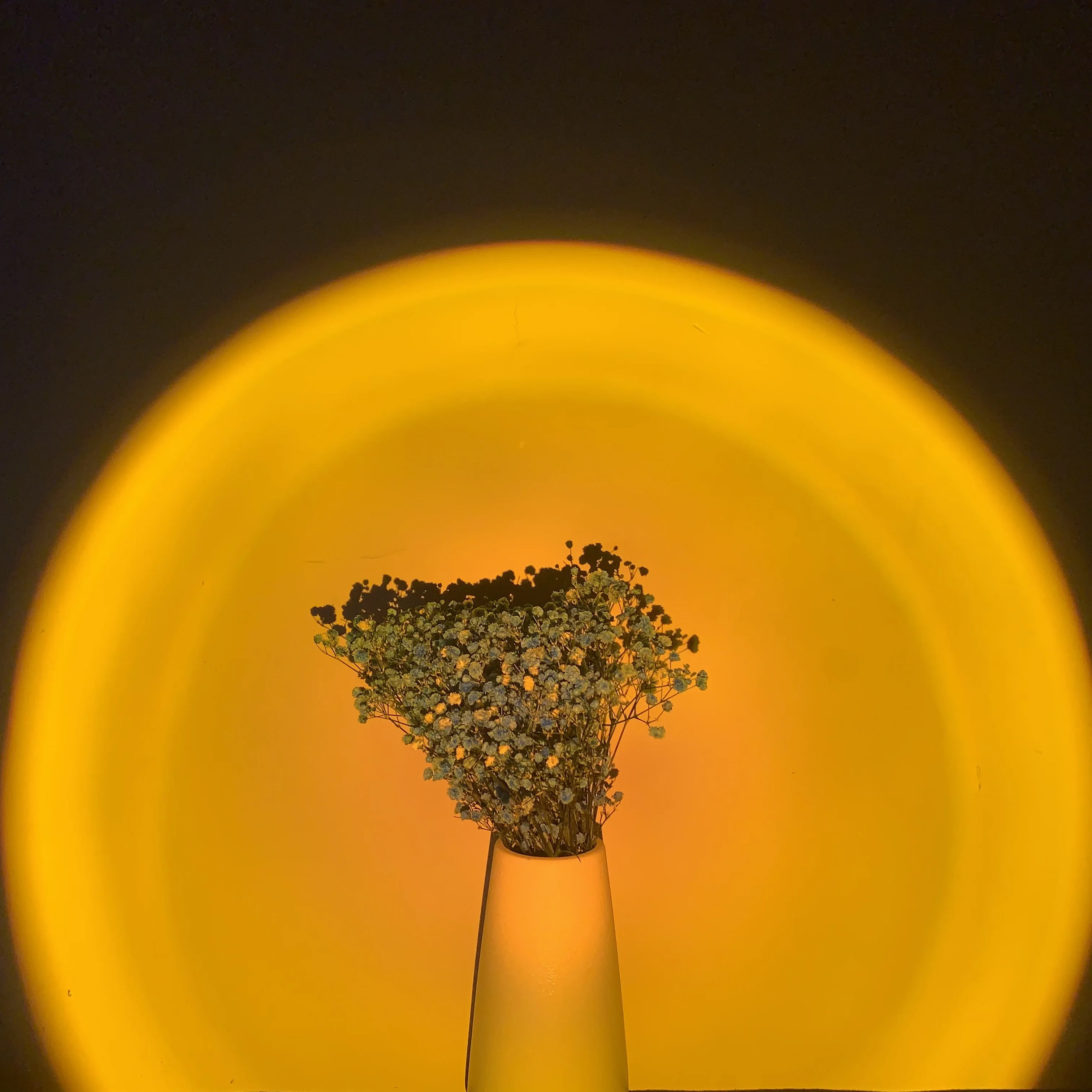 
Sunset lamp shooting lamps can rotate 360 to adjust projector the Angle of the floor lamp and freely change the projected color 