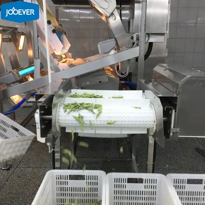 Китай HACCP BRC Сертифицированный IQF Edamame соевые бобы оптом Замороженные овощи