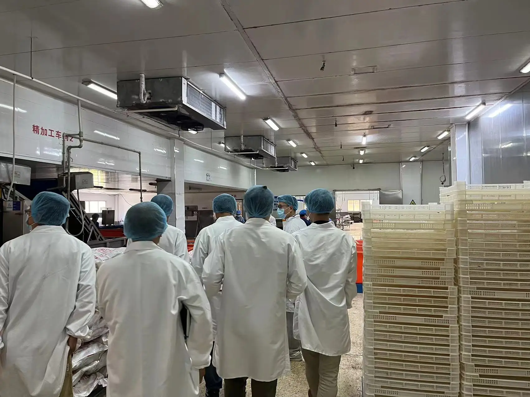 Frozen Giant squid wings skin on dosidicus gigas wings Peru Squid wings with skin