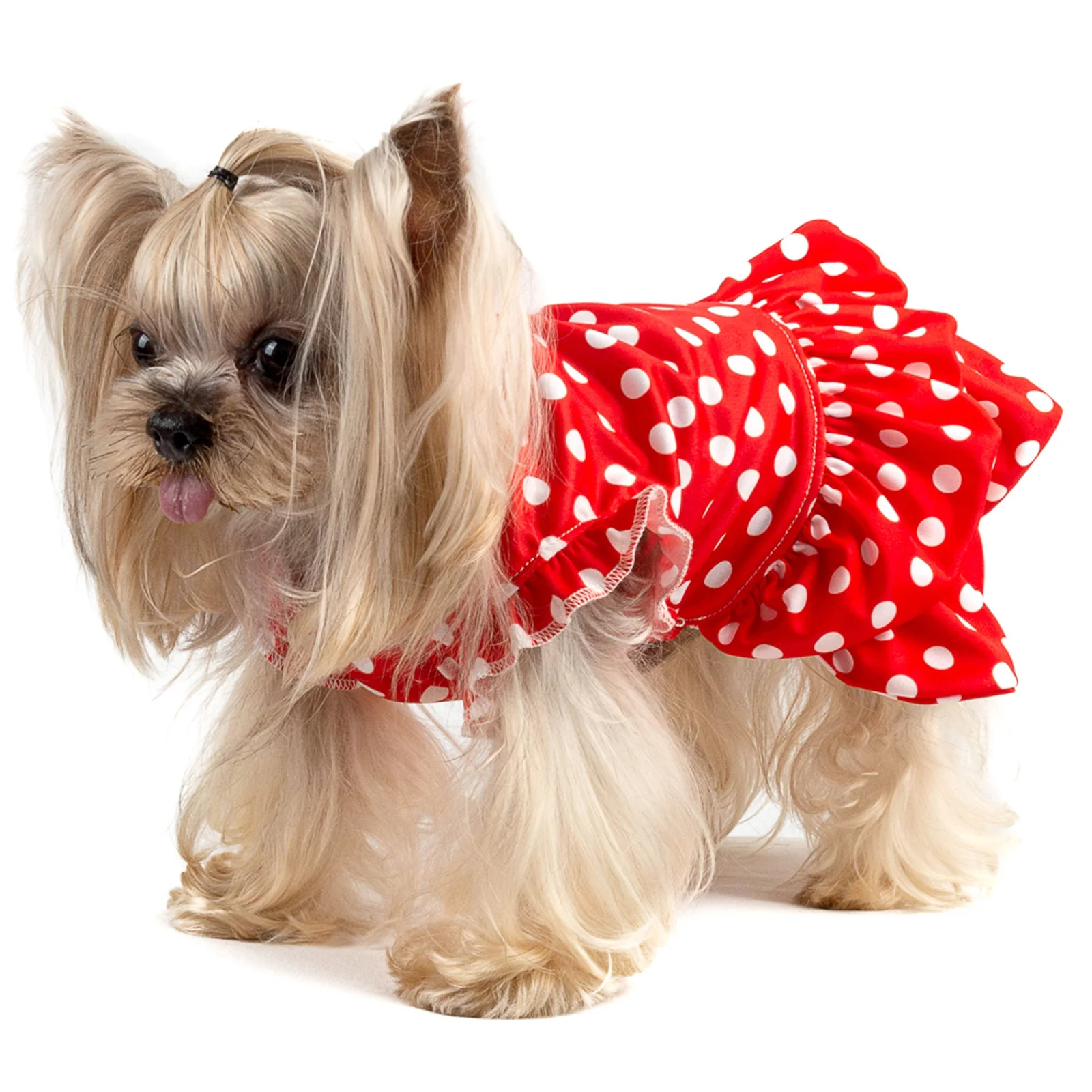 CuteBone Pet Clothes Sexy Red Polka Dot Dress for Party Chihuahua Puppy Wedding Dog Dresses