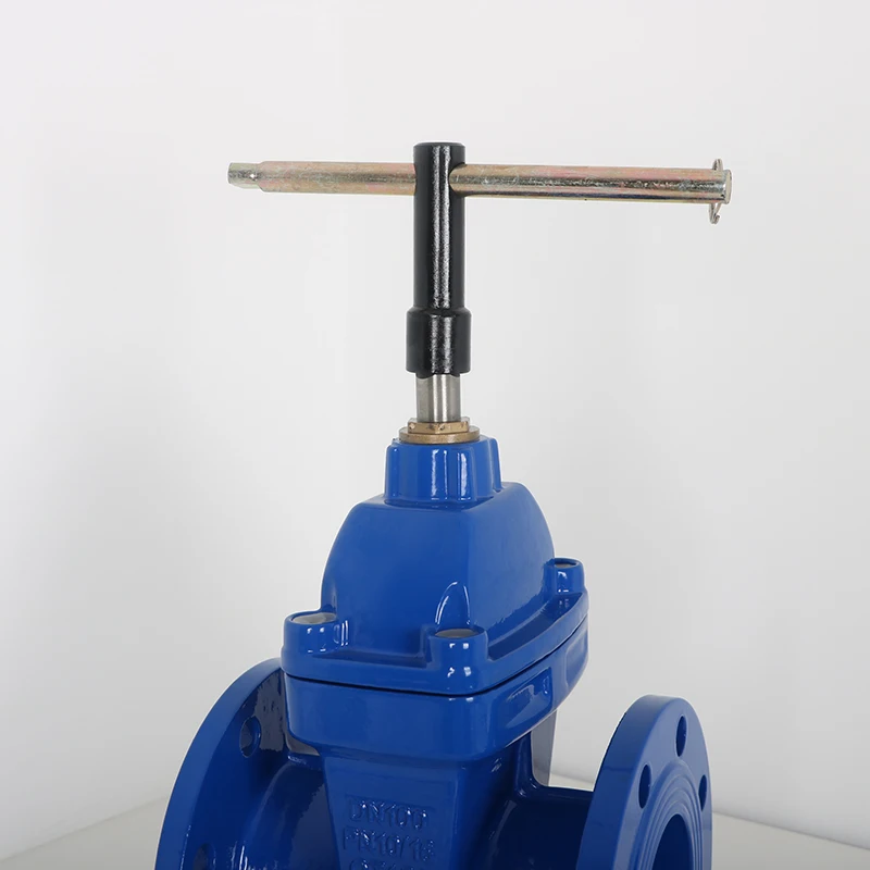 In Stock Anti theft soft seal gate valve with complete models and sizes