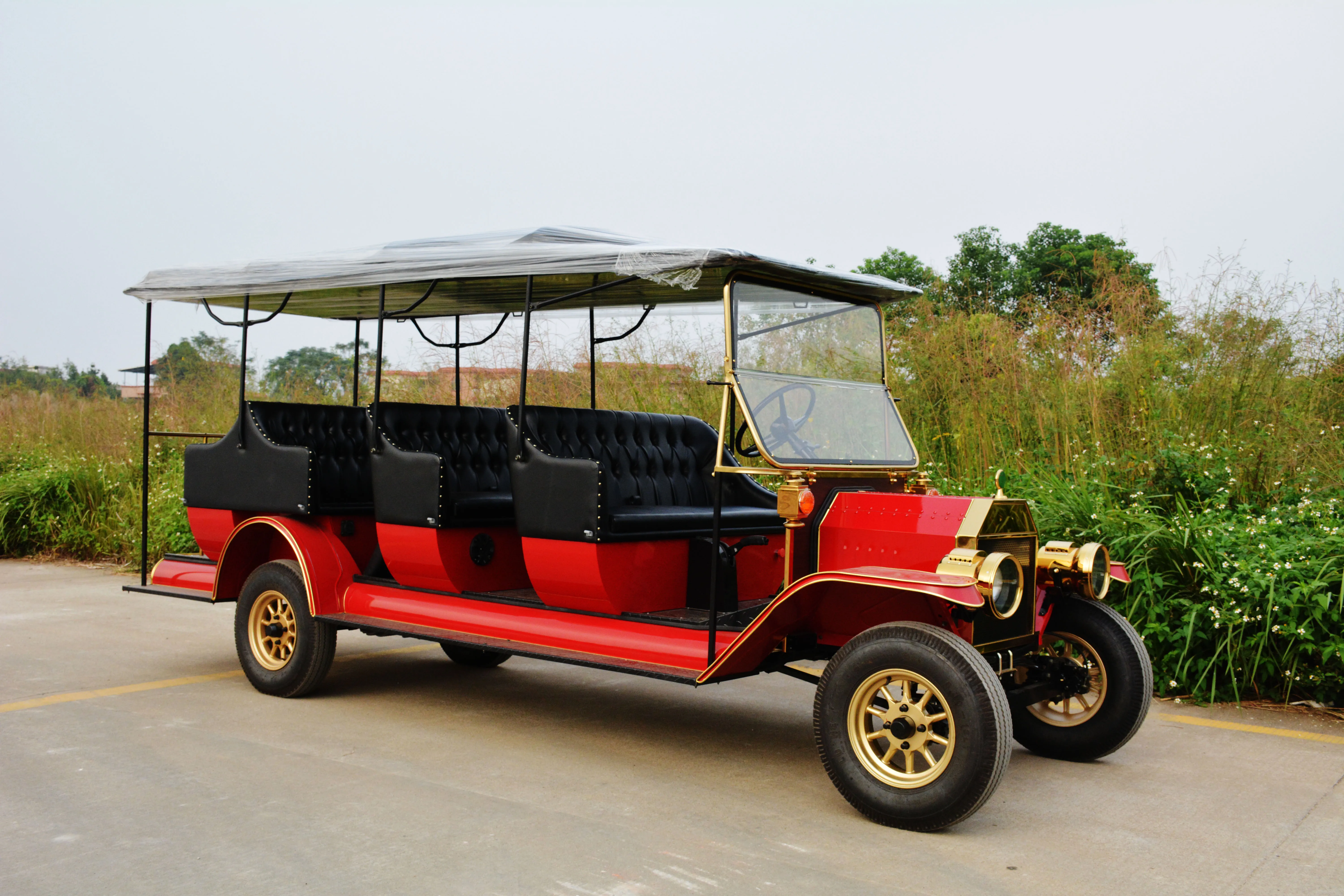 Tourist Coach Electric Classic Car 11 Seats with Ce Certificate