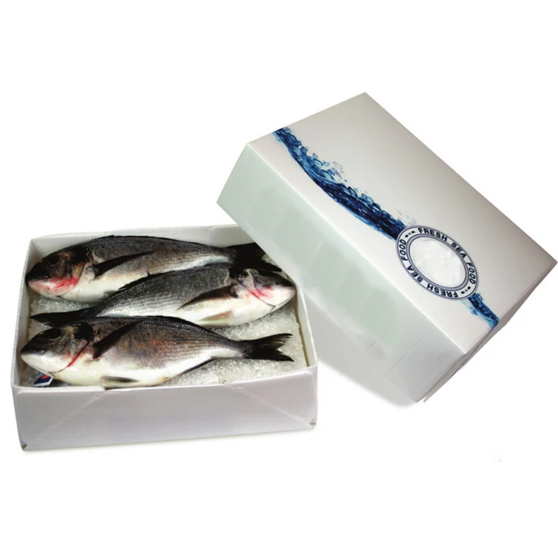 Salmon Fish Box Seafood Market PP Corrugated Sheet Box Custom Plastic Frozen Food Transport