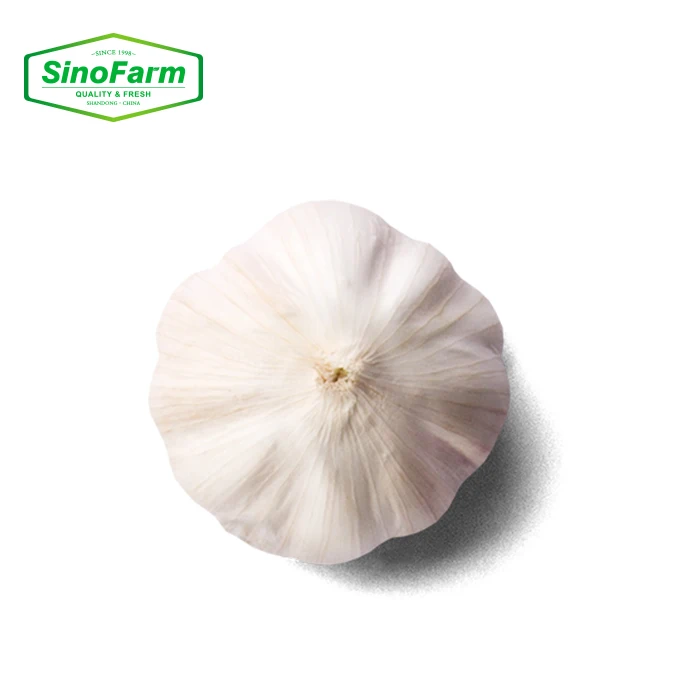 Fresh Normal White Garlic / Red Galic in 10kg/Carton with Different Size -Hot Sale !!!