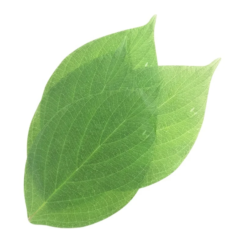 oilproof custom logo printed greaseproof oil greaseproof wax food wrapping paper