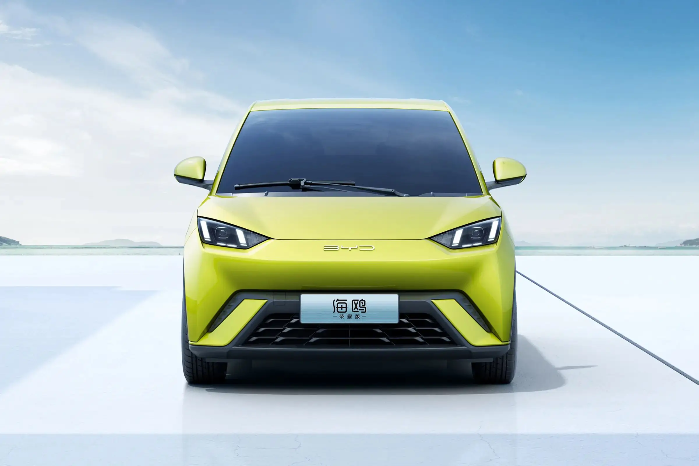 BYD Чайка электрический автомобиль высокого качества китайский ев хэтчбек большой дальности с электроприводом