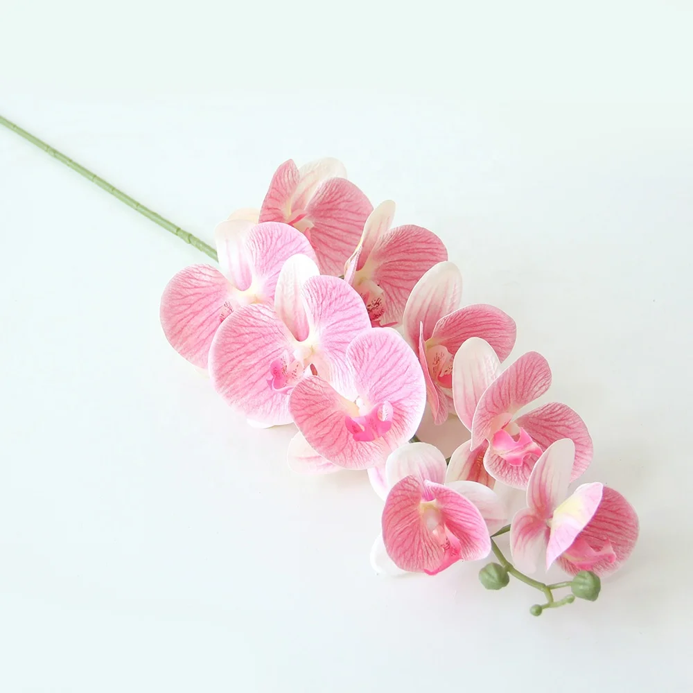 Nude Color Single Stem Wholesale Real Touch White Orchid Flowers Artificial Phalaenopsis Blue Orchids For Wedding Decor