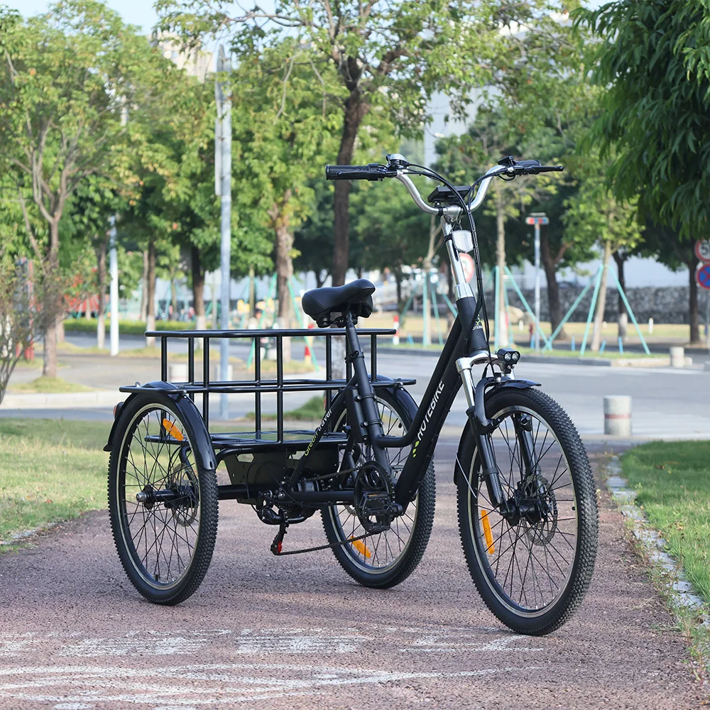 Wholesale price Electric Tricycle 36V 250W 350W Electric Trike For Sale 24 Wheel Size Electric Cargo Bike