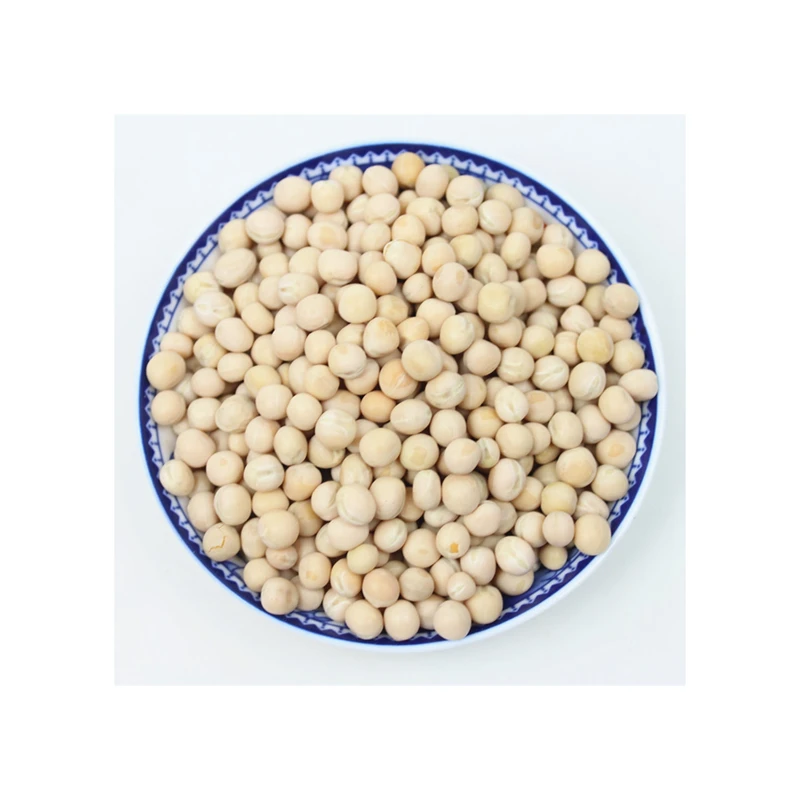 Premium Quality Natural Organic 2021 Chickpea Beans Protein