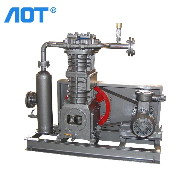 Custom China Manufacturers Biogas Compressor 250bar Methane Gas Digesters Methane Compressor for Sale