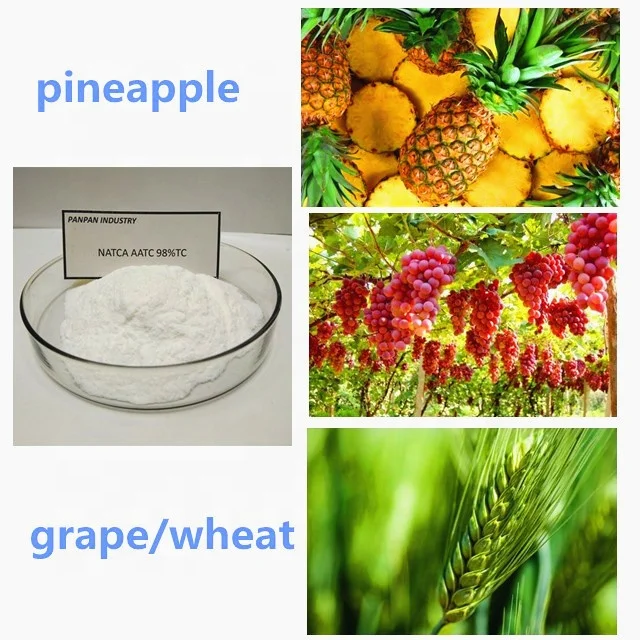 Лекарственный цитокинин фолцистеин стимулятор роста растений 98% TC NATCA