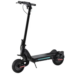 top scooter electric 1000w powerful off road electric scooter
